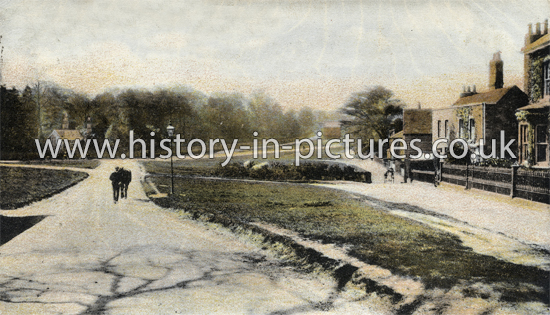 North End, Epping, Essex. c.1906